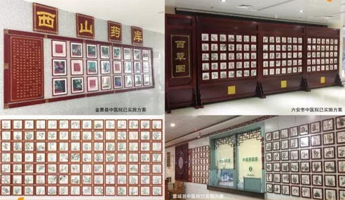 中医门诊设计里的那些 门道